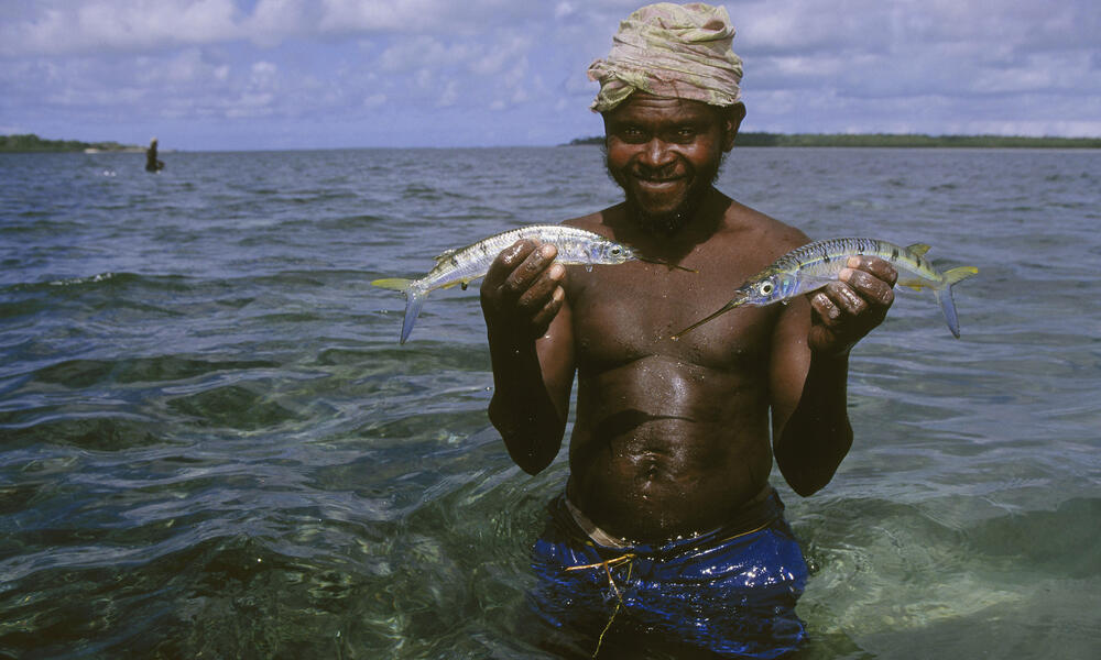 Wild caught seafood, what WWF is doing