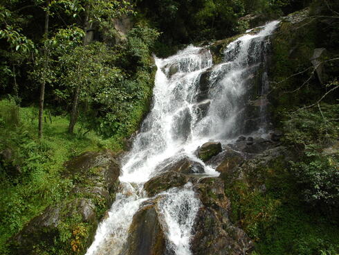 A waterfall in Bhutan.