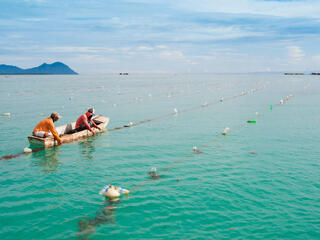 Two seaweed farmers in boat in Saborna, Sabah, Malaysia