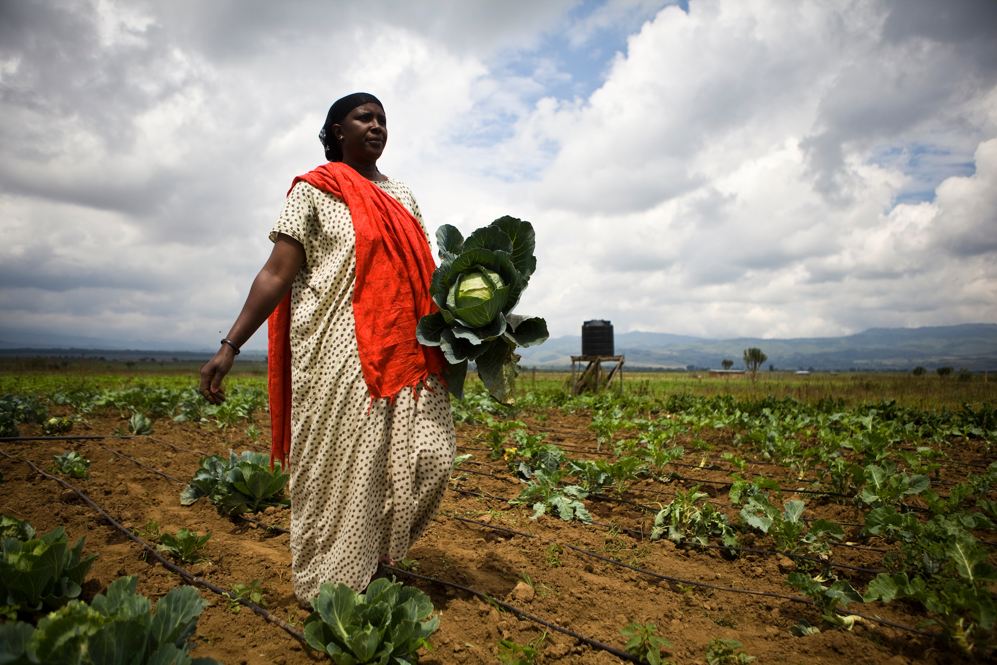 women in a field