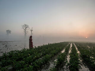 Woman in flooded field