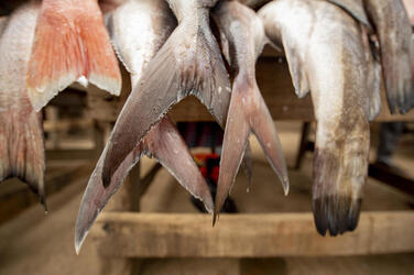 Close up of fish tails on a table at a seafood market