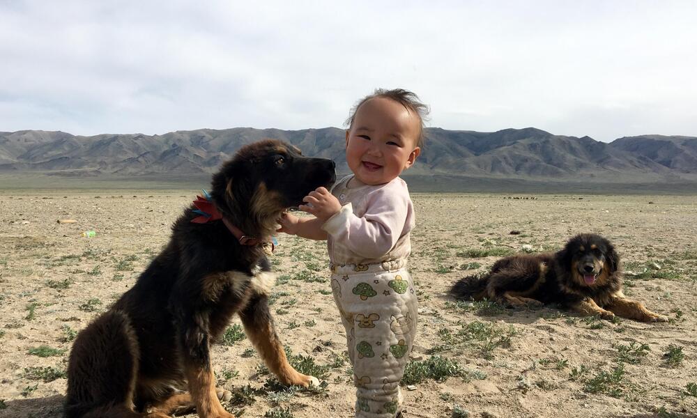 A baby stands smiling at the camera while a sitting puppy sniffs the baby's face face