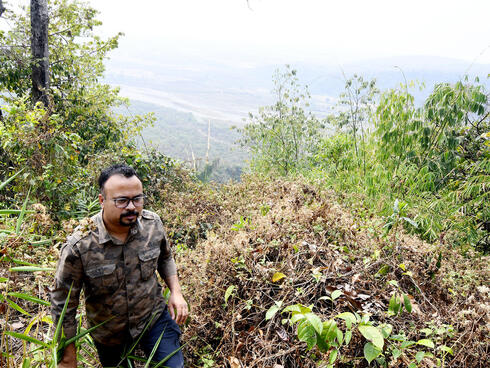 Man walks up slope through vegetation