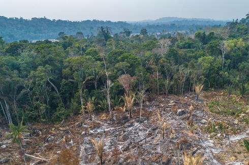 Aerial view of deforestation and fire in the Amazon Rainforest on land grabbing area surrounding the Uru-eu-wau-wau Indigenous Land