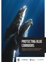 Protecting Blue Corridors Brochure