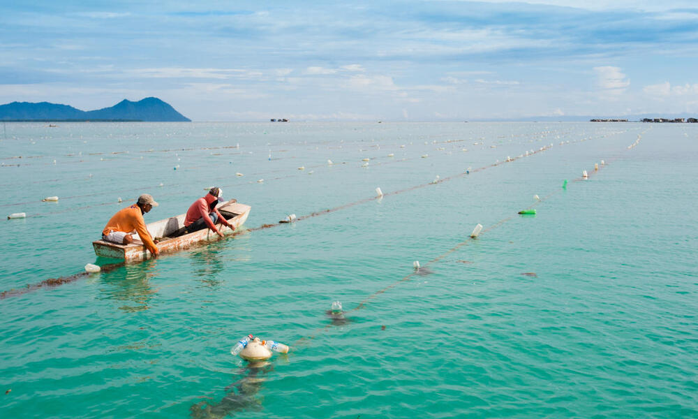 Two seaweed farmers in boat in Saborna, Sabah, Malaysia