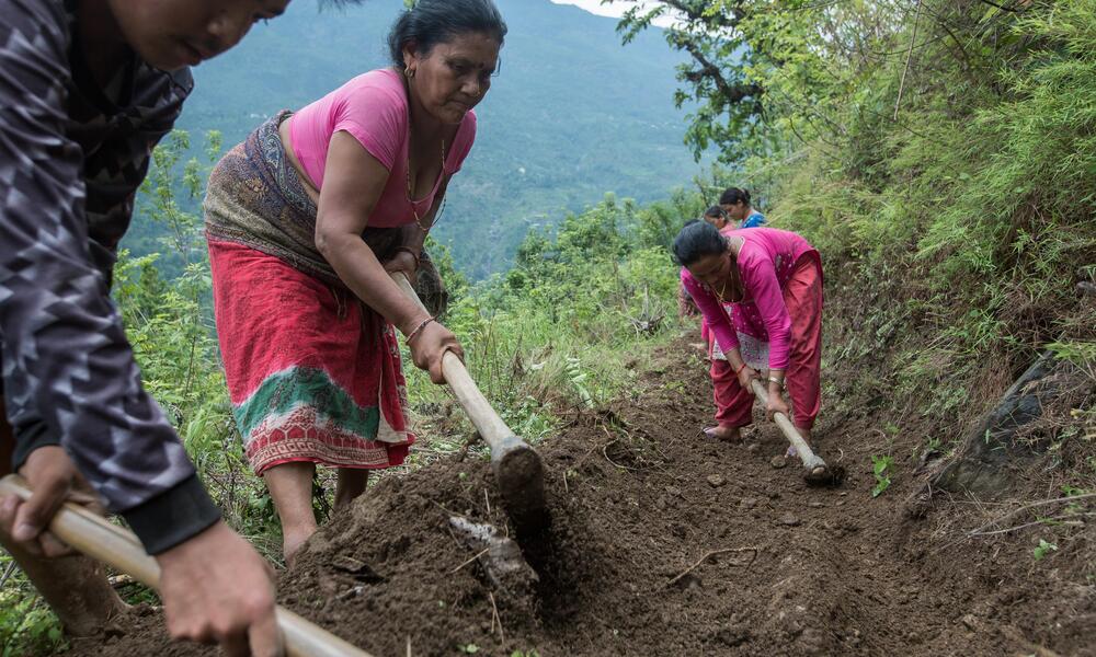 A group of people digging along a mountain slope