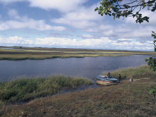 Amur Heilong