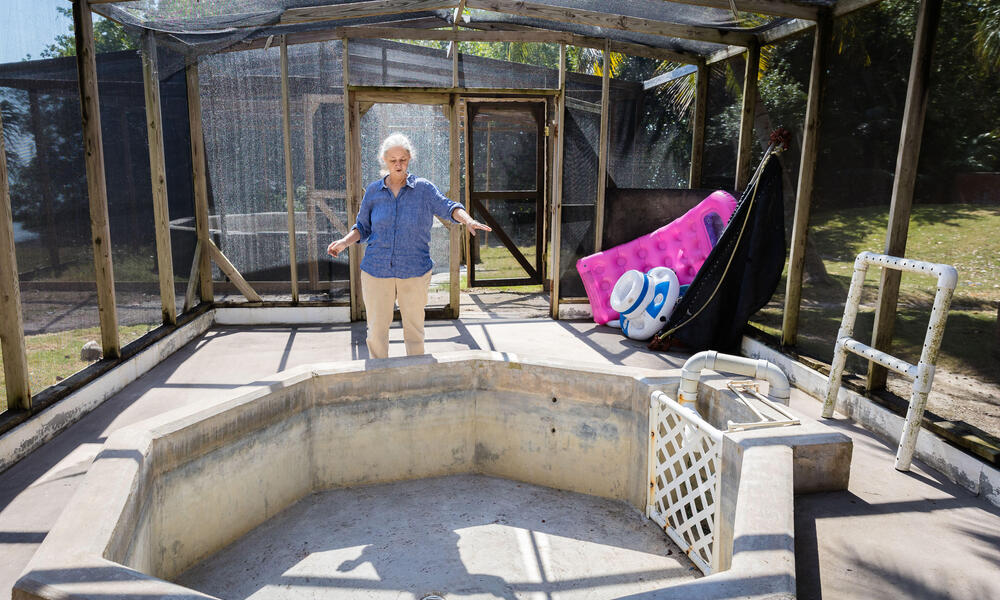 Zoe Walker stands behind a concrete rehabilitation pool that is currently empty.