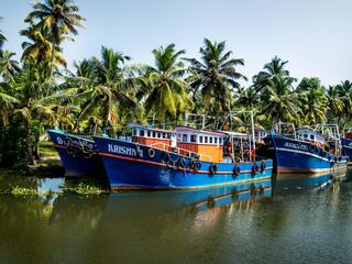 Several fishing boats float in a canal-like space with palm trees in the background