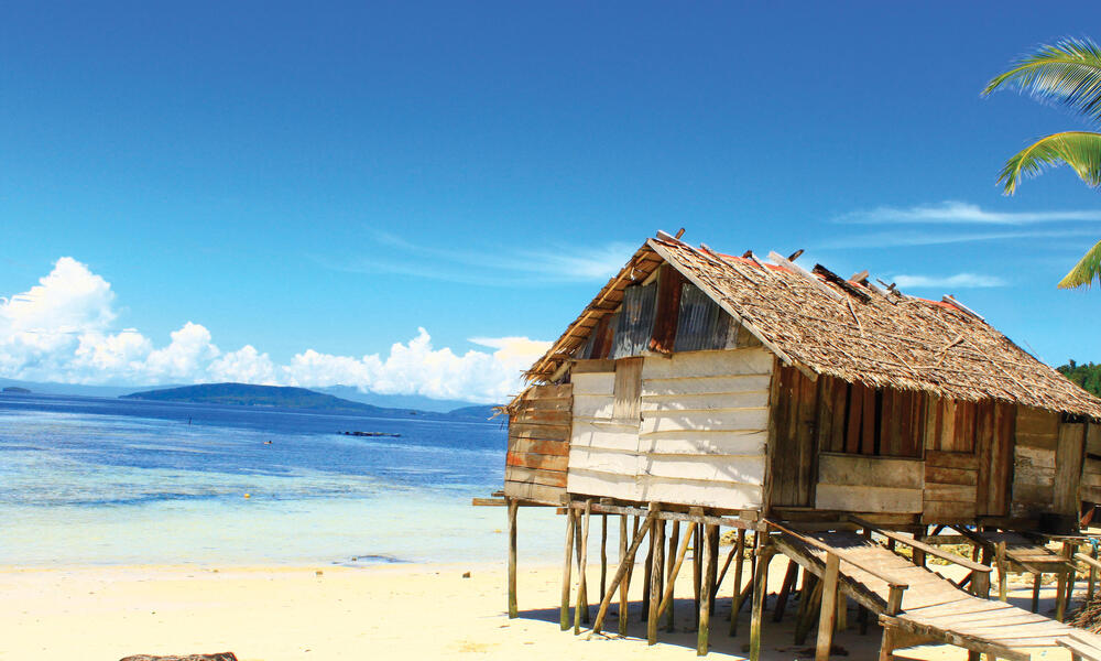 Bird's Hair Seascape, West Papua, Indonesia