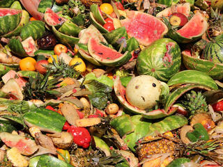 Food Waste