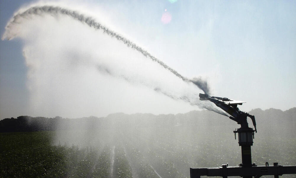 Sprinkler irrigation watering crops on farm