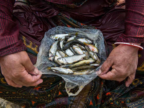 A plastic bag full of small fish sitting on a person's lap