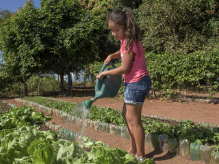 Student waters plant in school garden