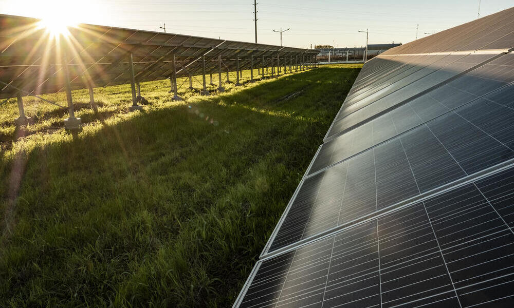 Solar panels stretch across a field as the sun sets