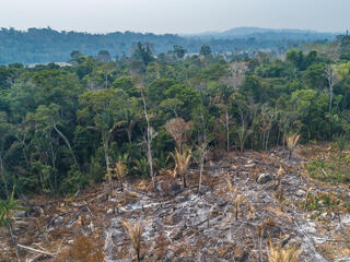 Aerial view of deforestation and fire in the Amazon Rainforest on land grabbing area surrounding the Uru-eu-wau-wau Indigenous Land