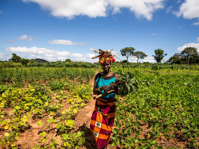 Rosa Alaneque owns the plot of land on which the Nacoma farmer field school operates.