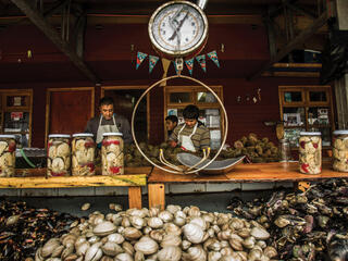 Fish market in Puerto Montt, Chile