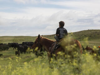 Riding a horse in Nebraska, United States