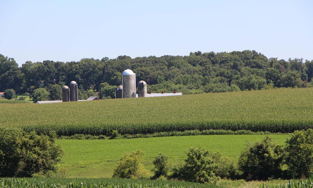 dairy farm