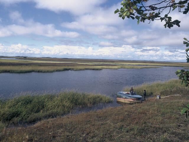 Amur Heilong