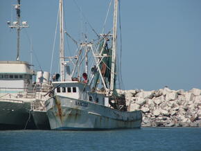 Gulf of California Overfishing