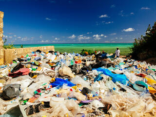 plastic washed up on beach WW274944 Greg Armfield