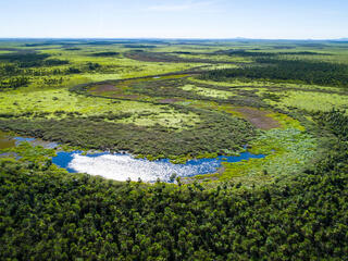 An aerial view of a river and forest