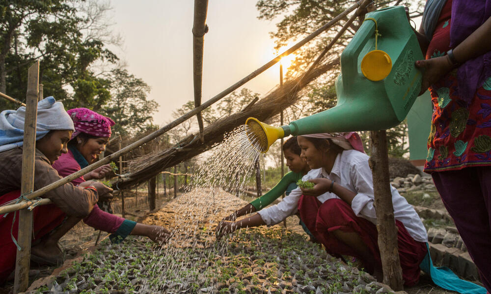 Women with plants in Nepal