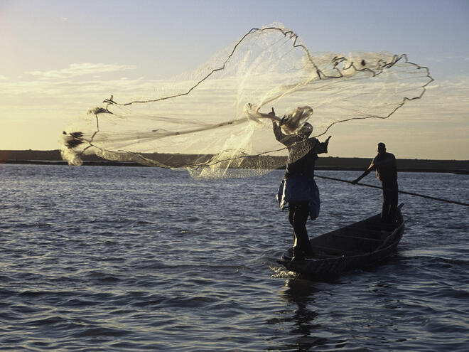 Wild caught seafood