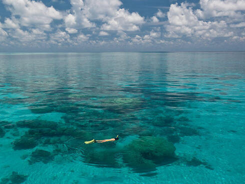 Tubbataha Reefs Natural Park, Palawan, Philippines