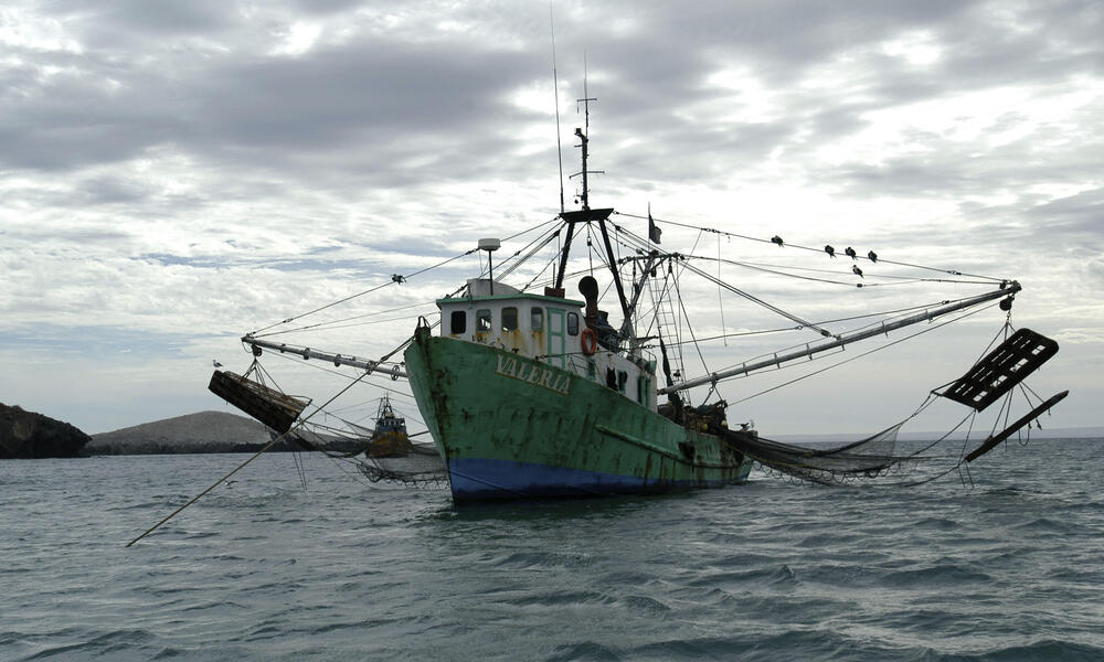 Fishing boat