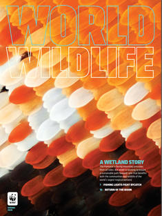 World Wildlife Magazine Spring 2020 cover