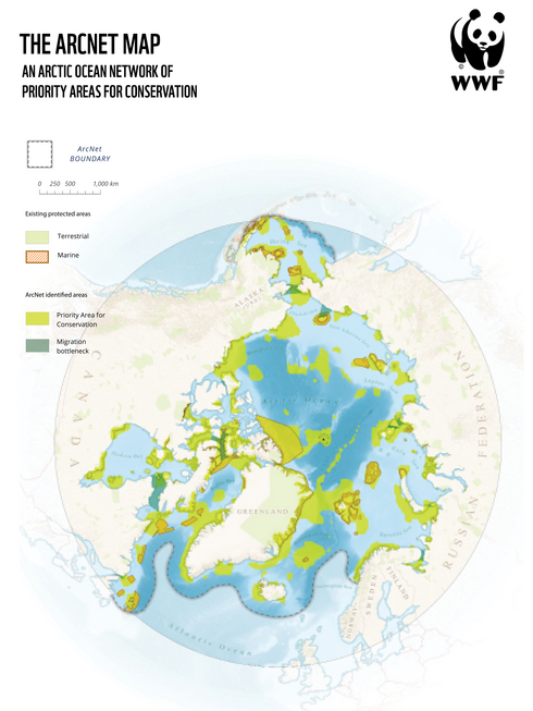 A graphic map of the world