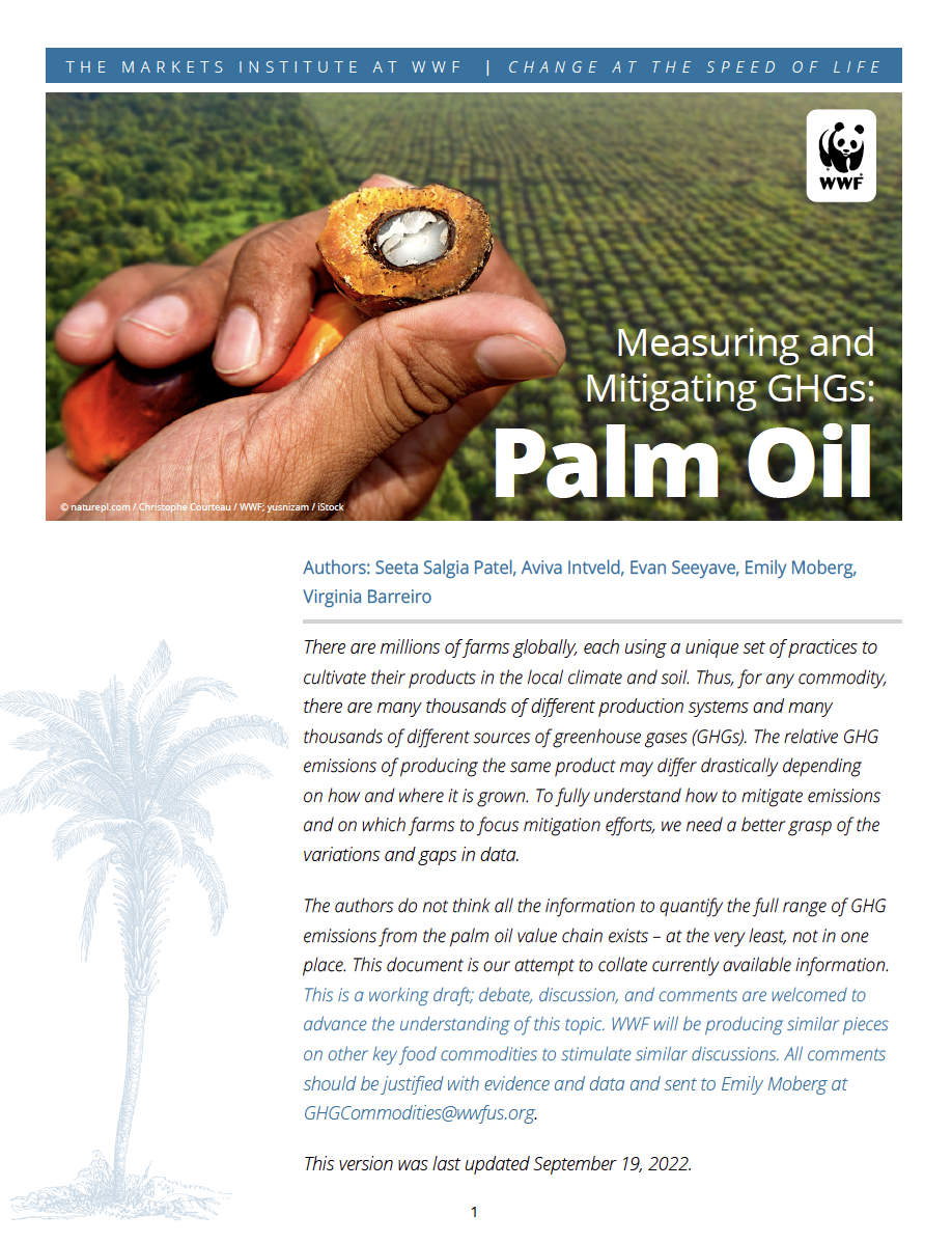 Palm Oil