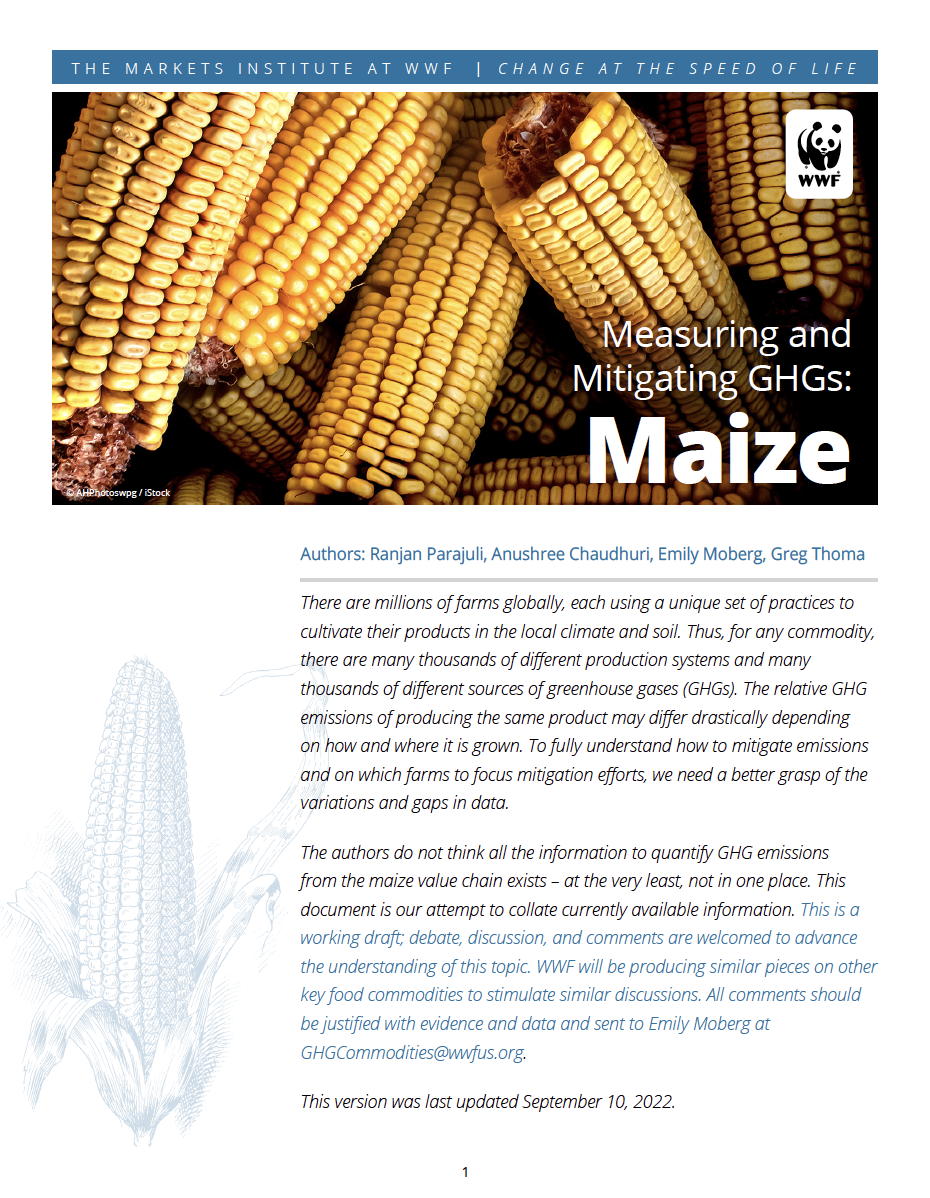 Maize