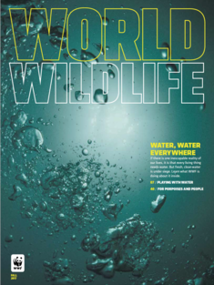 World Wildlife Magazine Fall 2017 cover